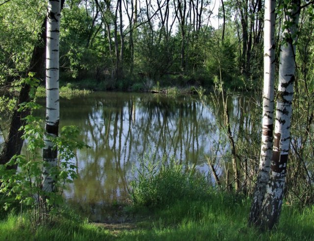 dscf1576.jpg