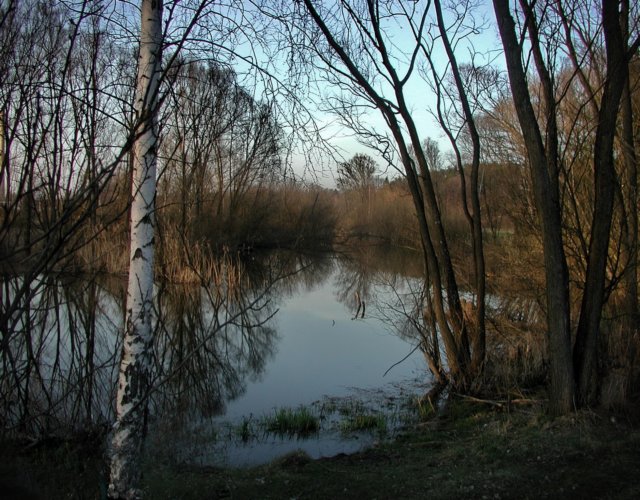 obraz036.jpg