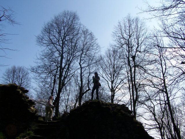 _2130.jpg