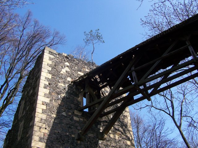 _2134.jpg