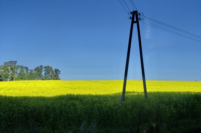 ss850415.jpg