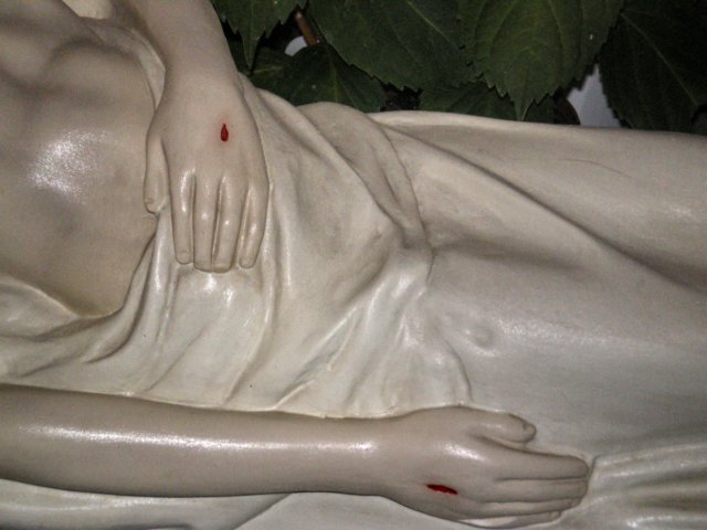 imgp0363.jpg
