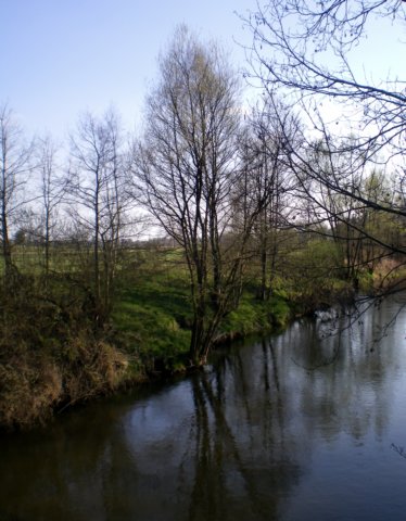 imgp0446.jpg