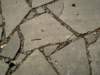 imgp0577_small.jpg