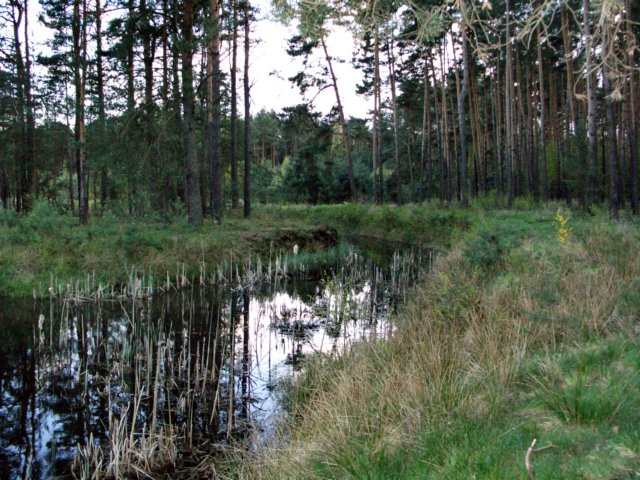 cimg0167.jpg