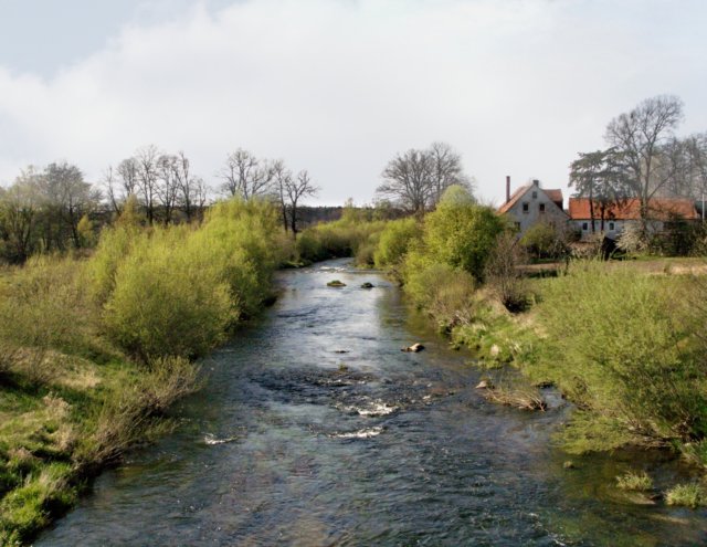 cimg0216.jpg