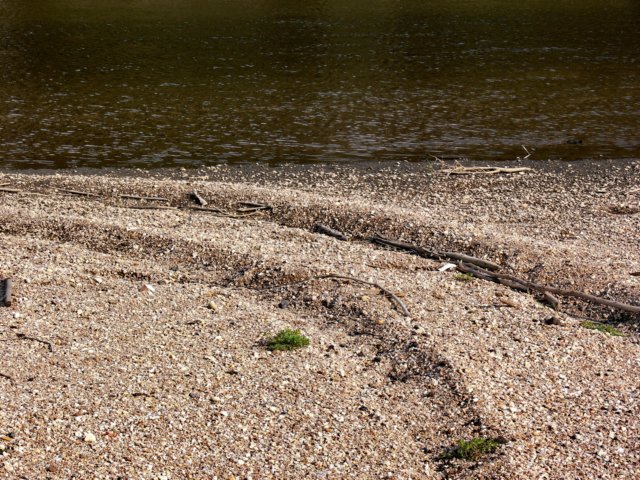 p1030634.jpg
