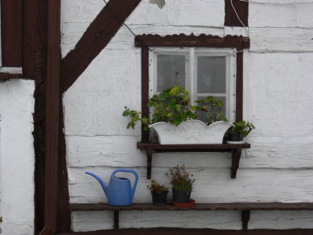 p1050268.jpg