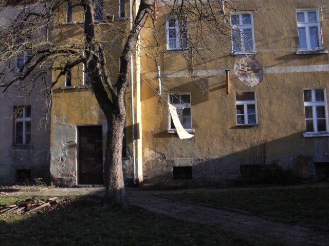 p1050401.jpg