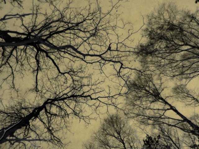 dscf0271k.jpg