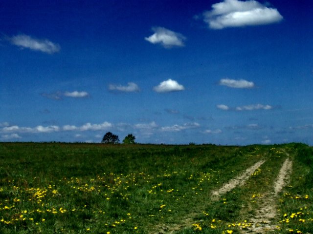 dscf0979.jpg