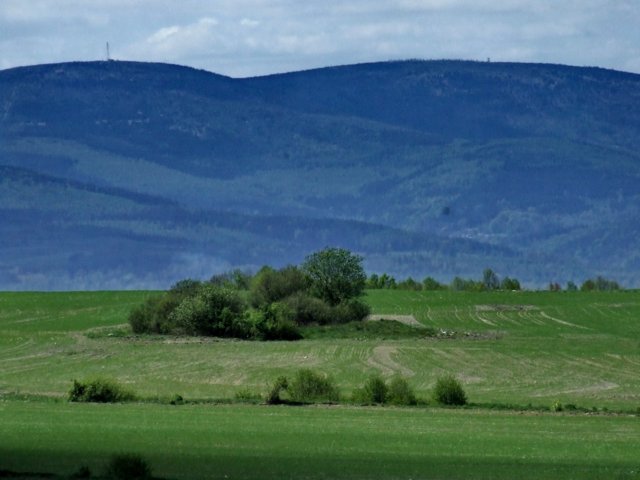 dscf1010.jpg