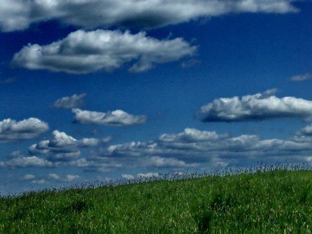 dscf1044.jpg