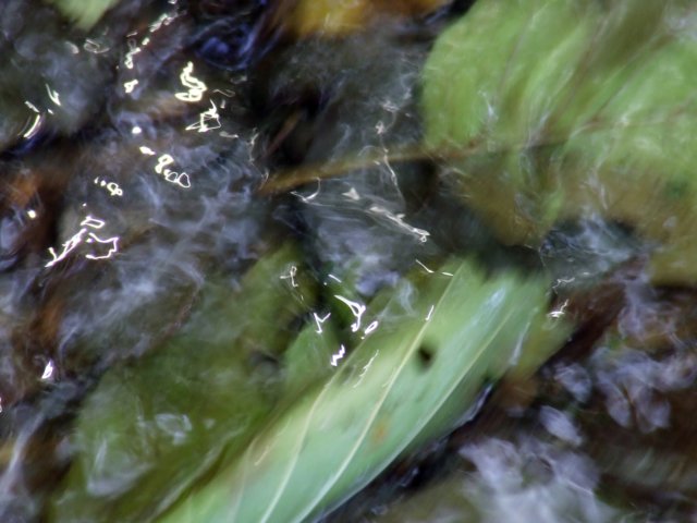 dscf2585.jpg