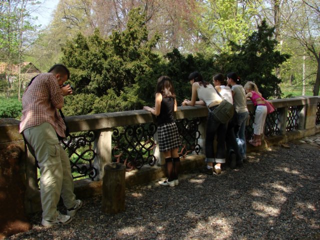 dsc00161.jpg