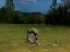 dsc00212_small.jpg