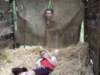 dscf0868_small.jpg