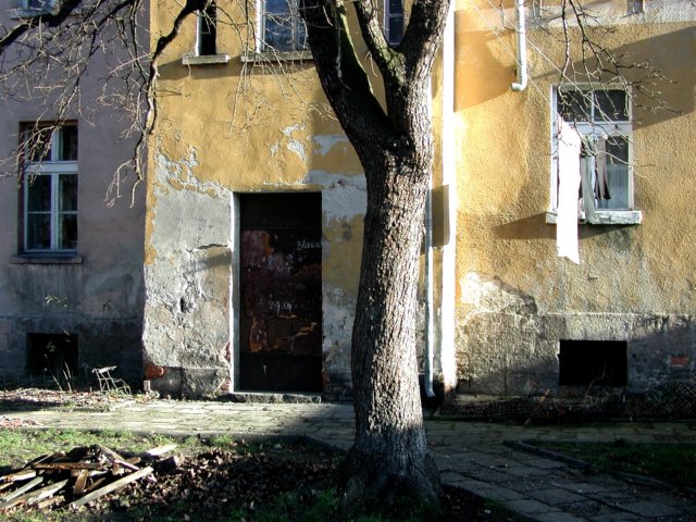 p1010024.jpg