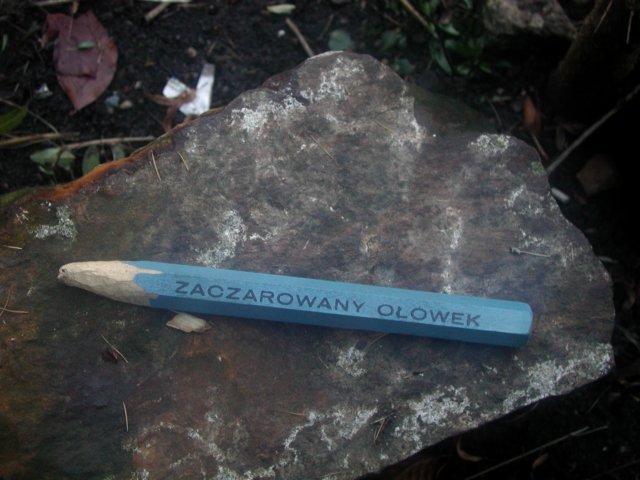 p1010037.jpg