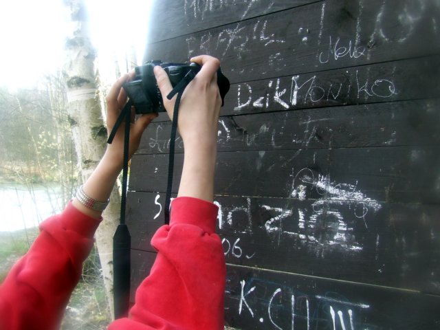 dscf0167.jpg