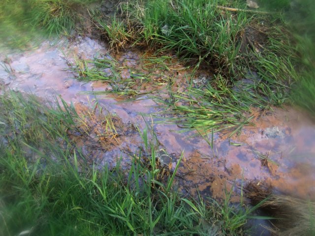 dscf0299j.jpg