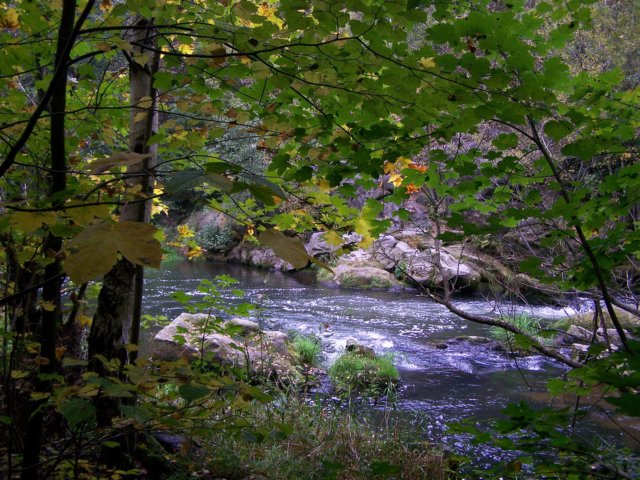 _1349.jpg