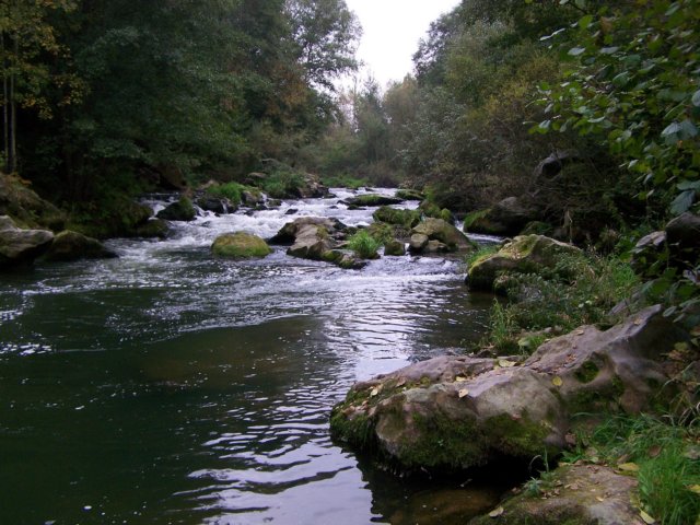_1350.jpg