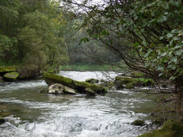 p1050139.jpg