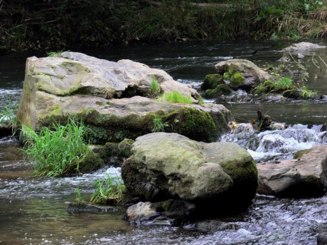 p1050147.jpg