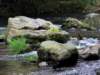 p1050147_small.jpg