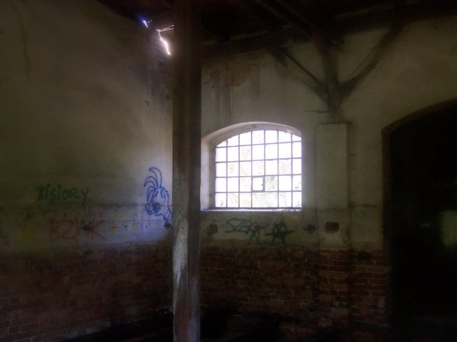 _1451.jpg