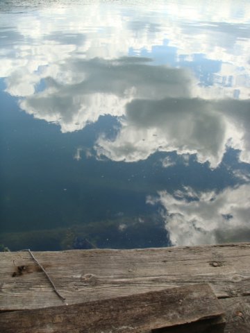 dsc01793.jpg
