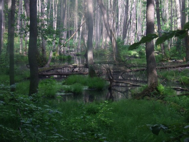 dscf3344.jpg