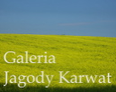 Galeria Jagody Karwat