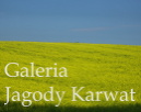 Galeria Jagody Karwat