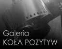 Galeria koa POZYTYW