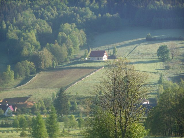 _2470.jpg