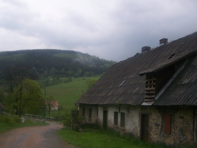 _2599.jpg