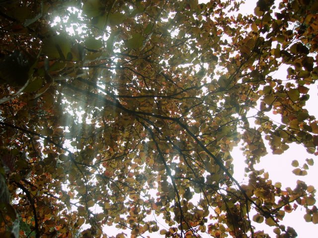 pict1527.jpg