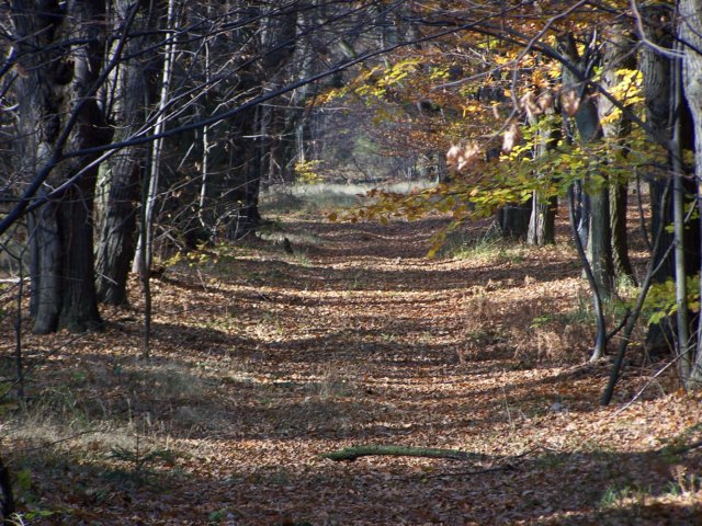 _3140.jpg
