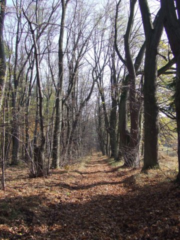 dscf2494.jpg