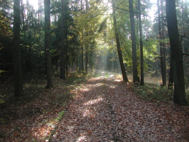 p1010010.jpg
