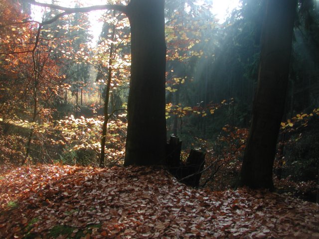 p1010017.jpg