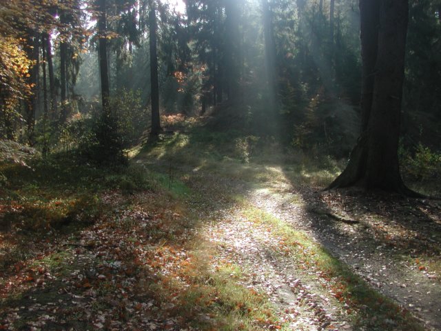p1010025.jpg