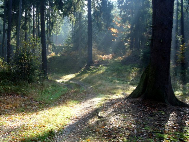 sn850046.jpg