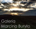 Galeria Marcina Buryo