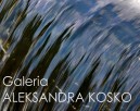 Galeria Aleksandra Kosko