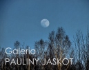 Galeria Pauliny Jaskot