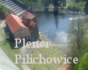 Plener - Pilichowice