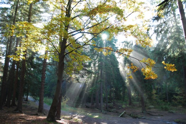 dsc_0014.jpg